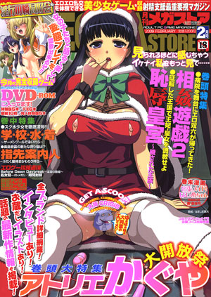 メガストア 2009年2月号のサンプル画像